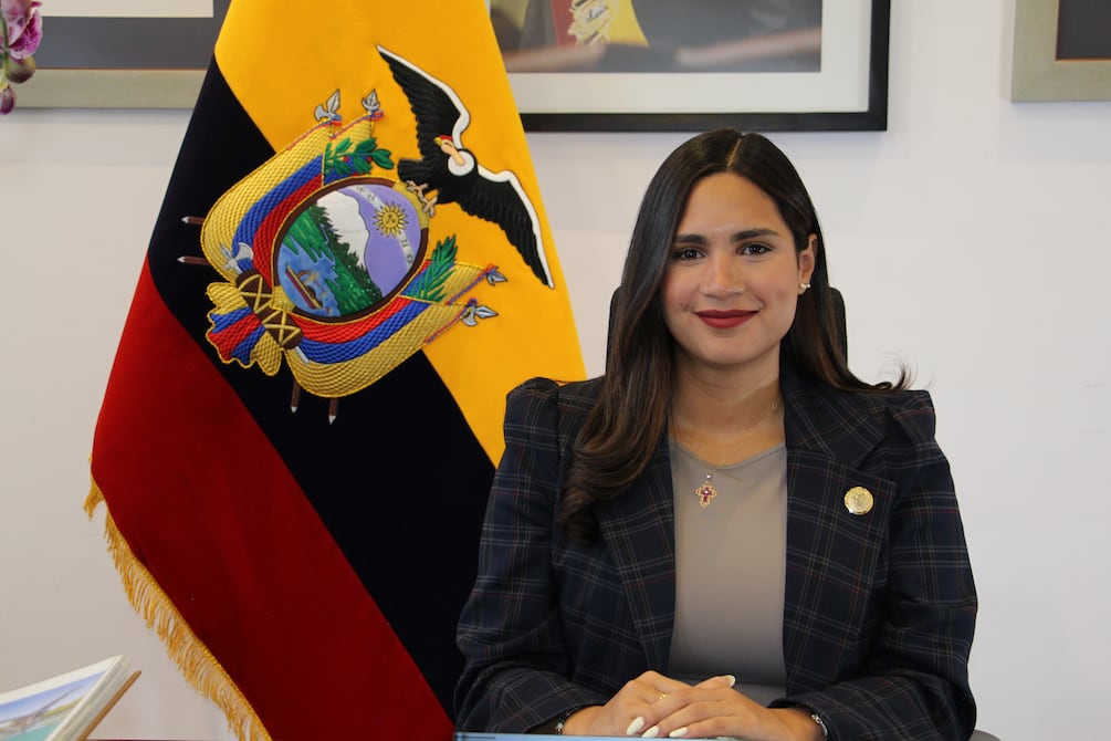 “No se puede utilizar la política para obstaculizar la justicia”, señala Doménica Bajaña, secretaria de Integridad Pública | Política | Noticias